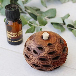 Op de afbeelding: Een bruine houten diffuser met een kurken stop. De diffuser is gevormd als een zaadpeul met veel gaten. Naast de diffuser staat een klein flesje eucalyptus olie.