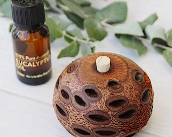 Banksia Pod Diffuser - High Quality (Choose size) Eucalyptus Oil Prefilled