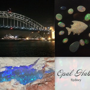 Puede incluir: Un collage de imágenes con opales. La imagen superior izquierda muestra el puente de Sydney Harbour Bridge de noche. La imagen superior derecha muestra una colección de opales de diferentes formas y tamaños, incluyendo un pez de ópalo tallado. La imagen inferior izquierda muestra un primer plano de un ópalo azul en su entorno natural. La imagen inferior derecha muestra el texto "Opal Habit Sydney".