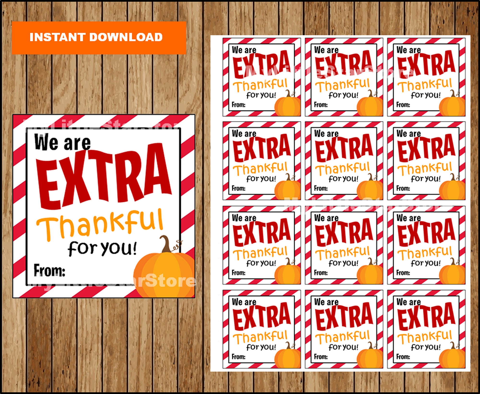We are EXTRA Thankful for you Gift Tags, Printable Thanksgiving Tags, Thanksgiving Teachers Thank you Gifts Instant download