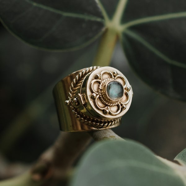 Labradorite Secret Ring, Brass, Capsule, Adjustable