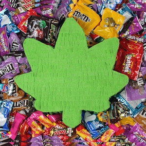Little Planta Piñata: Dein Stoner Geschenk für Sie, Weed Geschenk für Ihn & 420 Party Essential
