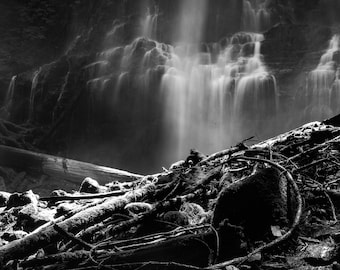 Fine Art Photography Prints "Mana": Surreal, Willamette National Forest, Roots, Waterfall, Black and White, Oregon , Patterns, Trees, Life