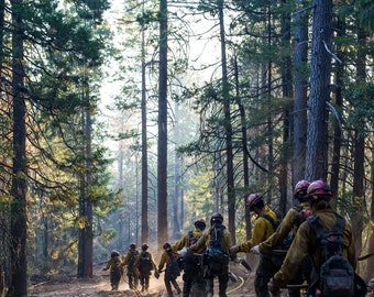 Fine Art Photography Prints "Descent": Wildland Fire, Firefighting, Teamwork, Morning, Hiking, Trees, Northwest, Magical, Hard Work, Crew