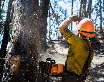 Fine Art Photography Prints "Salutation": Wildland Fire, Firefighting, Teamwork, Sawyer, Saw Work, Chainsaw, Felling, Trees, Oregon, Drama