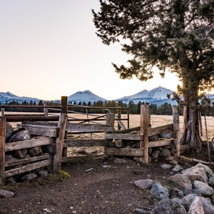 May include: A wooden fence gate with a metal frame, partially open, leading to a field with snow-capped mountains in the background. A large tree stands to the right of the gate.