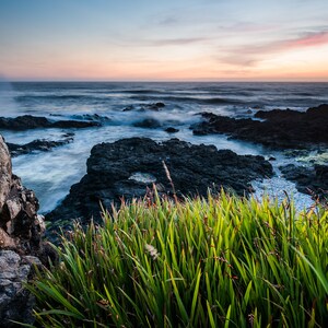 Fine Art Photography Prints &quot;Crocosmia&quot;: Yachats, Oregon Coast, Sunset, Flowers, Rocks, Waves, Clouds, Ocean, Beach, Coastal, PNW, Artwork
