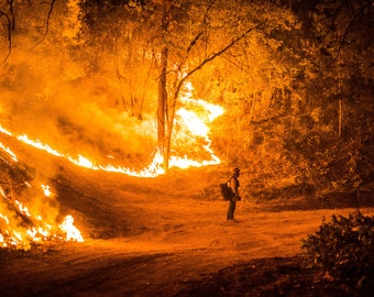 Fine Art Photography Prints "Boomerang": Wildland Fire, Firefighting, Teamwork, Night Shift, Embers, Smoke, Fireline, Burn Operation, Glow