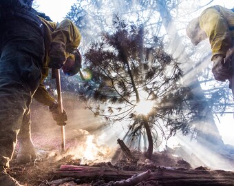 Fine Art Photography Prints "Morning Dig": Wildland Fire, Firefighting, Firefighter, Digging, Hard Work, Mop-up, Forest, Dust, Light, Dirt