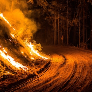 Fine Art Photography Prints &quot;Sentinels&quot;: Wildland Fire, Firefighting, Teamwork, Night Shift, Embers, Smoke, Fireline, Burn Operation, Glow