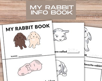 My Rabbit Book, INSTANT DOWNLOAD, preschool book about rabbits