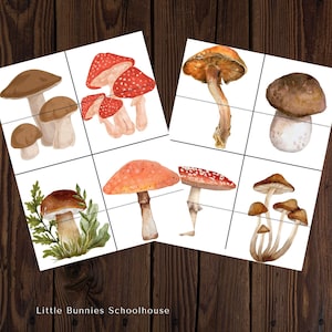 Mushroom Puzzles