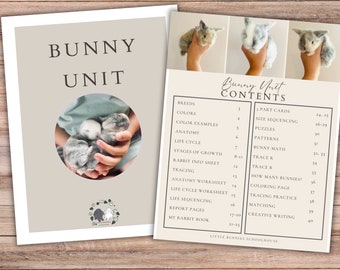 BUNDLE d'unité de lapin, unité d'école à domicile de printemps, ensemble d'activités de lapin, école à la maison imprimable