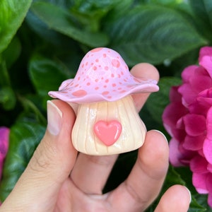 Heart Mini Mushroom Stash Jar