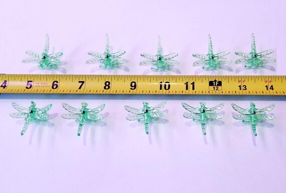 Insect Crush Clips Insect Crush Clips