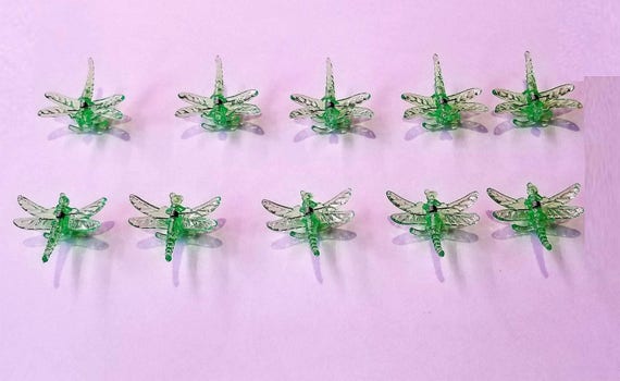 Insect Crush Clips Insect Crush Clips