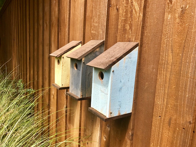Puede incluir: Tres casas para p&aacute;jaros de madera montadas en fila sobre una pared de tablones de madera verticales. Cada casa cuenta con un techo inclinado, un orificio de entrada circular y un acabado pintado en amarillo p&aacute;lido, gris desgastado y azul claro.