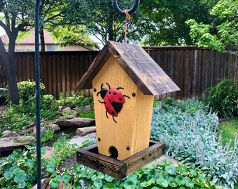 Può includere: Una casetta per uccelli in legno con un disegno di coccinella. La casetta per uccelli è dipinta di giallo con un tetto marrone e una base marrone scuro. Una coccinella rossa con pois neri è dipinta sul davanti. La casetta per uccelli è appesa in un giardino.