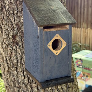 Puede incluir: Una casa para p&aacute;jaros de madera con cuerpo pintado en azul oscuro, techo inclinado marr&oacute;n oscuro y base marr&oacute;n oscuro. El panel frontal presenta un orificio de entrada circular rodeado por una placa met&aacute;lica cuadrada clara con cuatro tornillos.