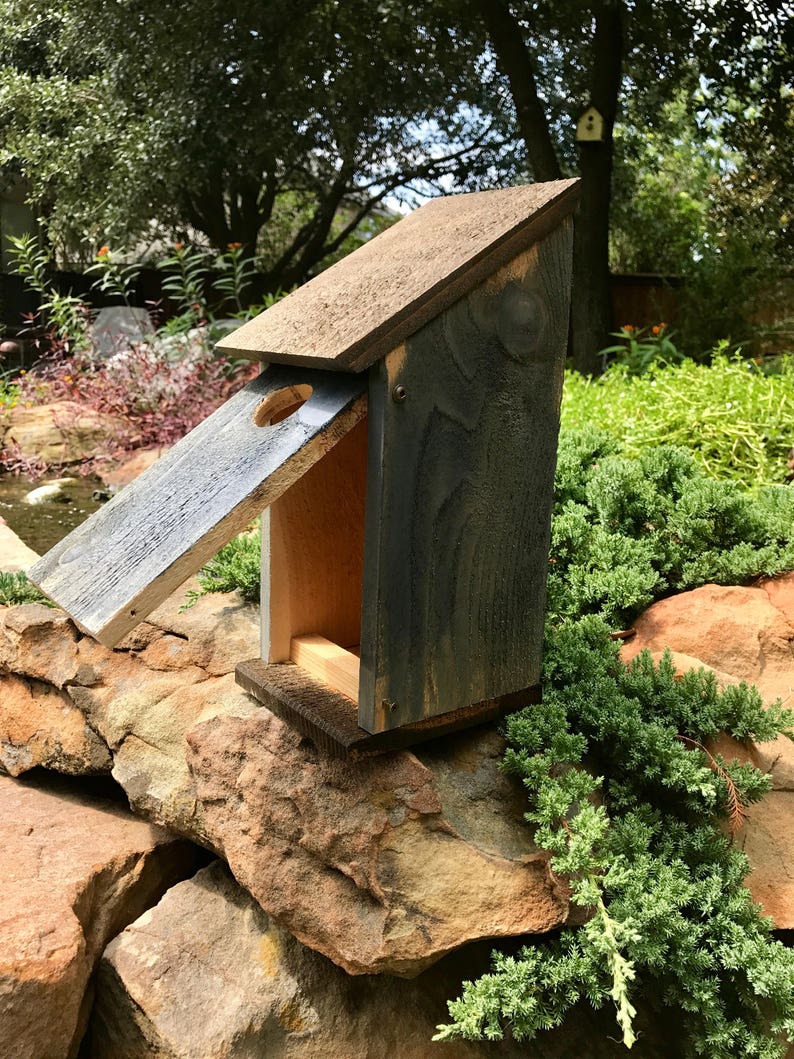 Puede incluir: Una casa para p&aacute;jaros de madera con techo inclinado y acabado te&ntilde;ido en gris oscuro. La estructura presenta un &uacute;nico orificio de entrada circular en el panel frontal, textura de veta de madera visible y una base rectangular, ensamblada con tornillos met&aacute;licos visibles.