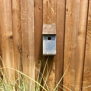 Puede incluir: Una casa para p&aacute;jaros rectangular de madera con un acabado azul claro desgastado y un techo inclinado de color marr&oacute;n oscuro. La casa presenta un &uacute;nico orificio de entrada circular centrado en el panel frontal y est&aacute; montada sobre una valla de madera.