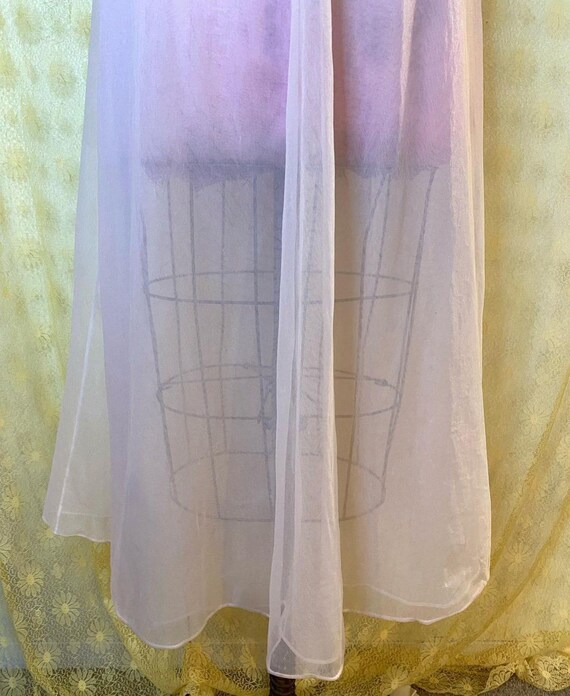 1960s Pale Blush Pink Sheer Floor Length Slip - image 4