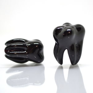 May include: Two black tooth-shaped charms. The charms are made of a shiny, smooth material and have a realistic tooth shape.