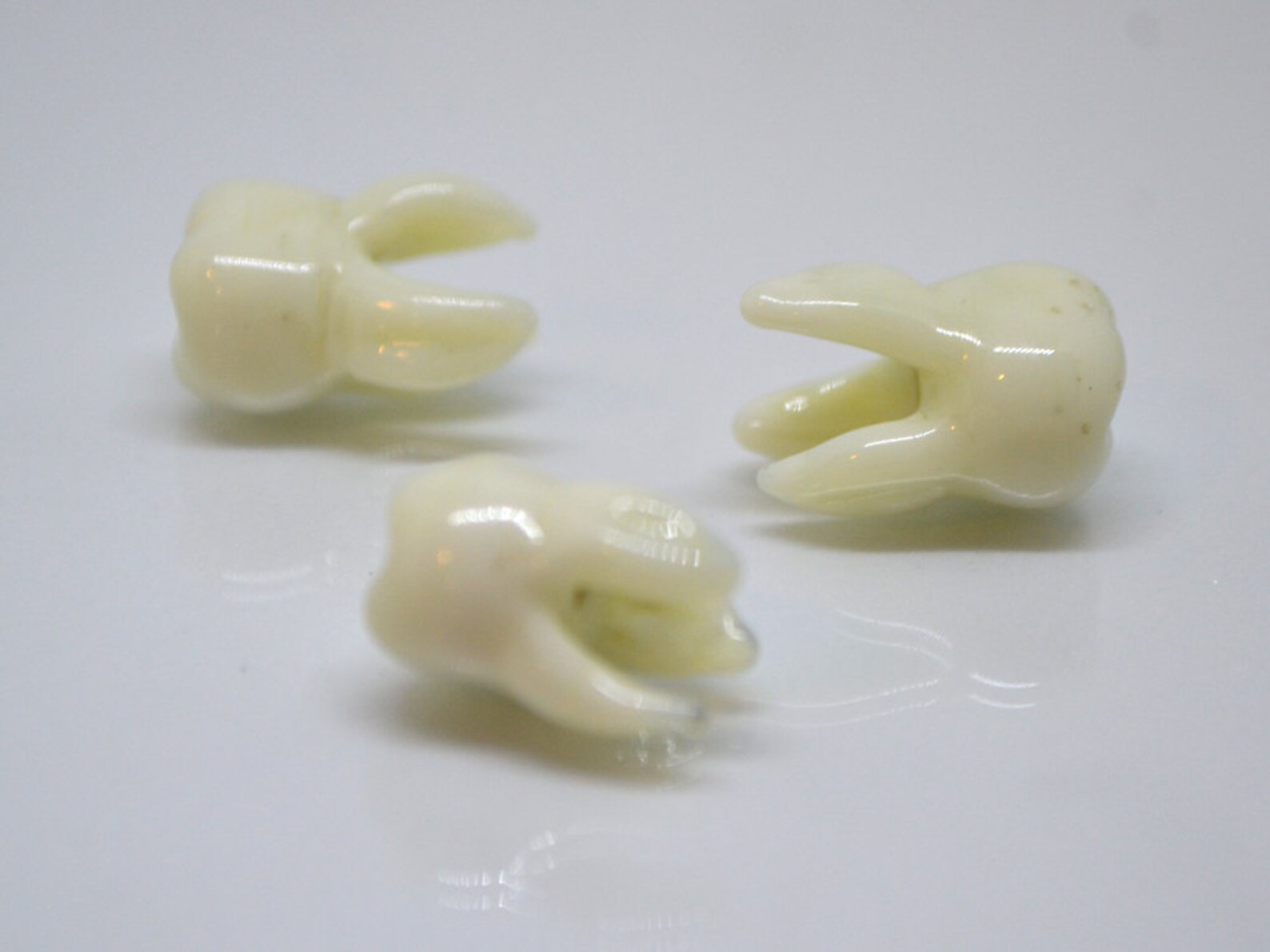 Glass Root Tooth Beads Molar Beads Dentist Gift Prank Teeth Etsy
