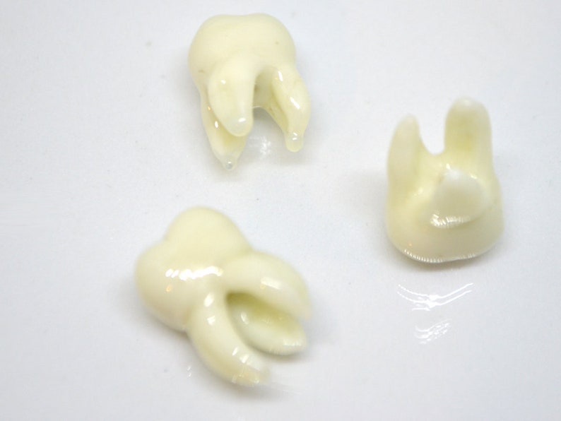 Glass Root Tooth Beads Molar Beads Dentist Gift Prank Teeth Etsy