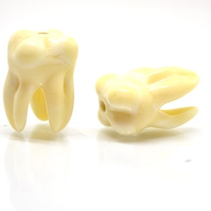 Glass Root tooth beads, Molar beads, Dentist gift prank, Teeth beads with 3 roots, Handmade beads, Teeth jewelry, Teeth earrings, Lampwork