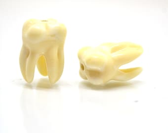 Perline di vetro per denti con radice, perline per molari, scherzo regalo del dentista, perline per denti con 3 radici, perline fatte a mano, gioielli per denti, orecchini per denti, lavorazione a lume