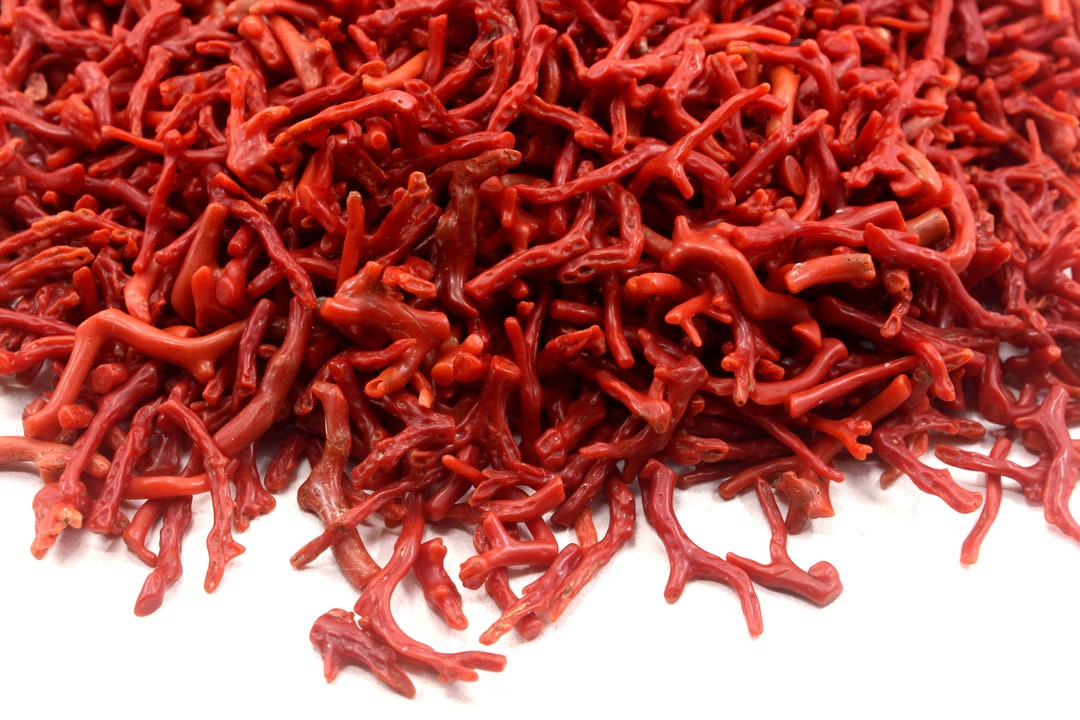 Pierre Précieuse Brute : Branche De Corail Rouge Naturel 100% - 18 Carats, Provenance Inde