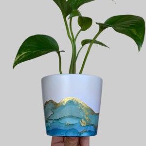 May include: A potted plant with green leaves in a white ceramic pot with blue and gold abstract design.