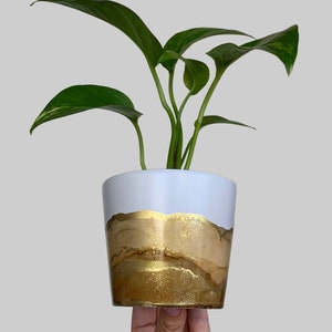 Può includere: Una pianta in vaso con foglie verdi in un vaso di ceramica bianco con un accento dorato. Il vaso ha una parte superiore bianca e una parte inferiore dorata con una linea ondulata che separa i due colori.