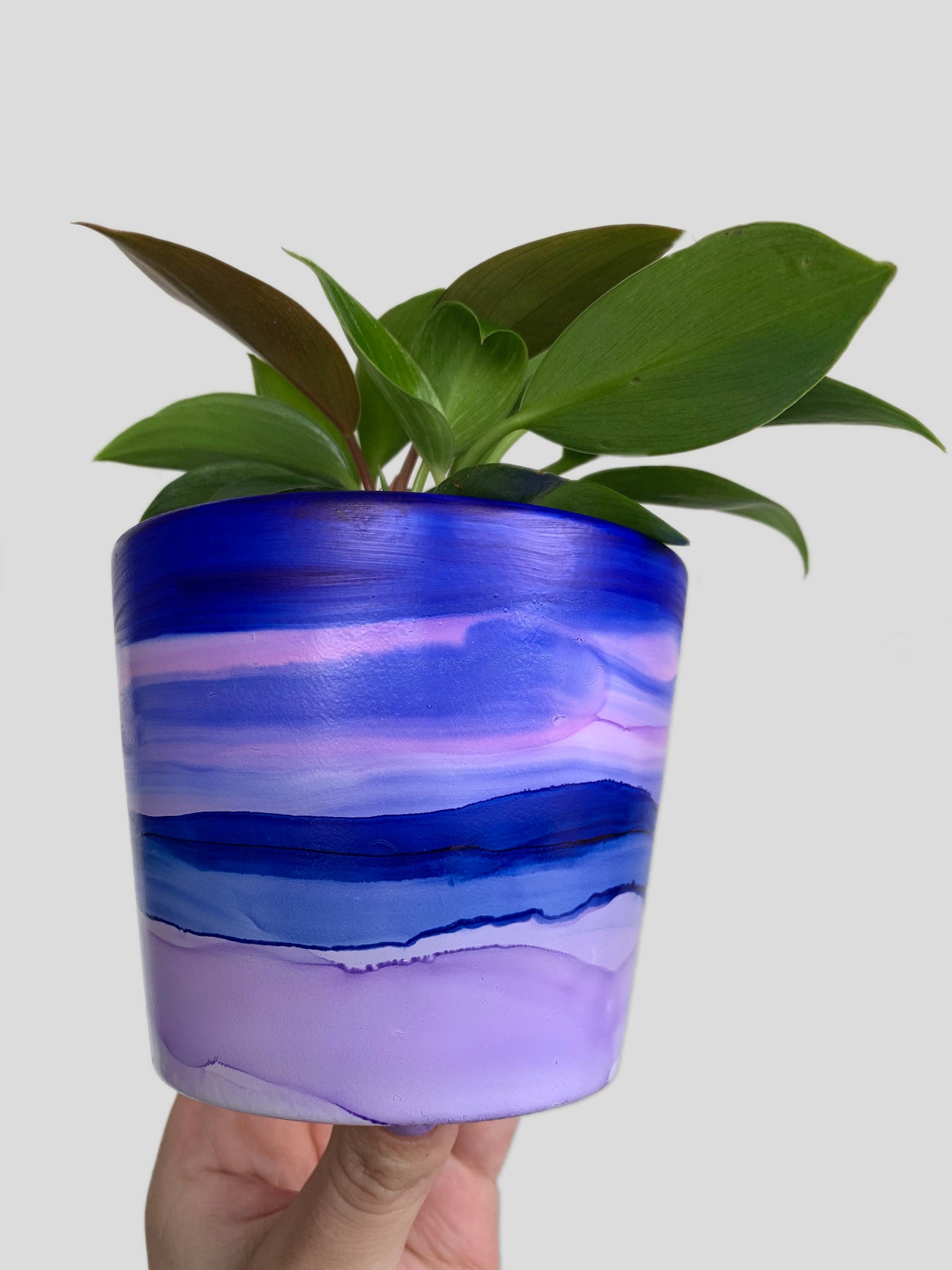 Hand Painted Plant Pot With Drainage Hole Terracotta Pot Etsy Australia