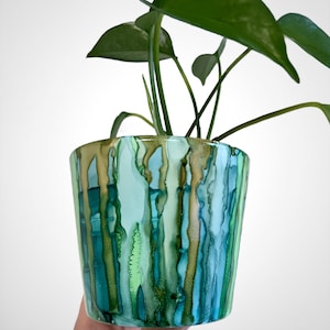 May include: A green plant in a teal, green, and gold abstract patterned ceramic pot. The pot has a vertical stripe design.
