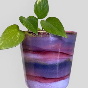 May include: A decorative plant pot with a layered design in shades of purple, red, and gold. The pot holds a small green plant with heart-shaped leaves. The pot's rim has a gold accent.