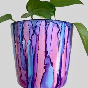 Könnte beinhalten: Ein lila, rosa und blauer bemalter Keramiktopf mit einer grünen Pflanze darin.