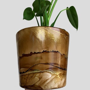 May include: A decorative brown and gold plant pot with a unique, layered design. The pot is filled with a green plant with heart-shaped leaves. The pot's design features gold accents and a glossy finish.
