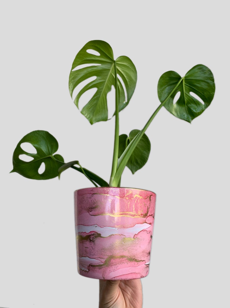 Hand Painted Plant Pot with Drainage Hole, Terracotta Pot, Light Pink, Peach and Gold, Fluid Art Pot Planter, Indoor Pot, Colourful, Marble image 1