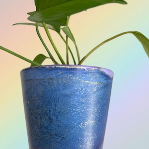 May include: A green houseplant with large leaves in a blue and purple ceramic pot with gold flecks.