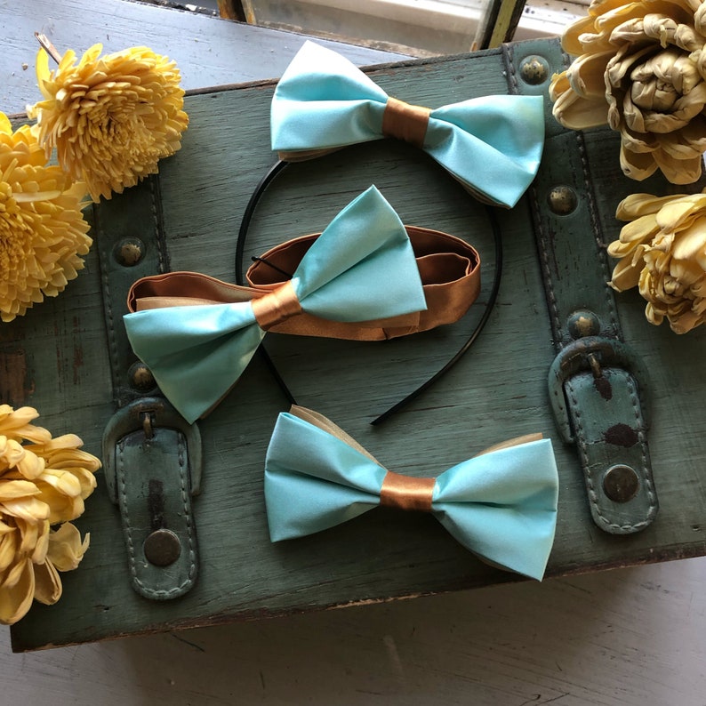 Disney/'s Aladdin Princess Jasmine Inspired Arabian Princess Hair Bow