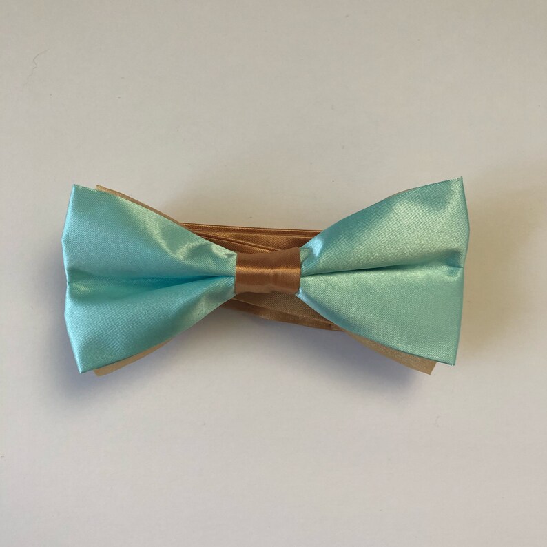 Disney/'s Aladdin Princess Jasmine Inspired Arabian Princess Hair Bow