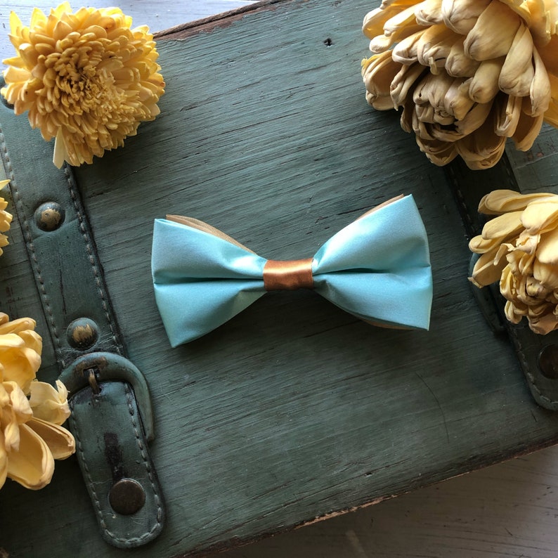 Disney/'s Aladdin Princess Jasmine Inspired Arabian Princess Hair Bow