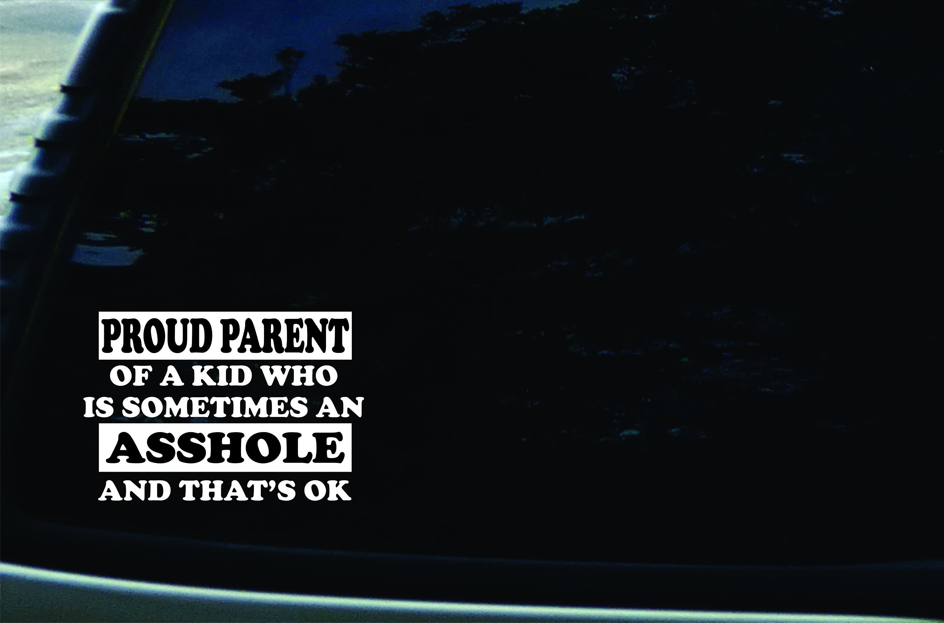 Proud Parent Of A Great Kid Who Is Sometimes An Asshole Proud Parent Of A Great Kid Who Is Sometimes An Asshole