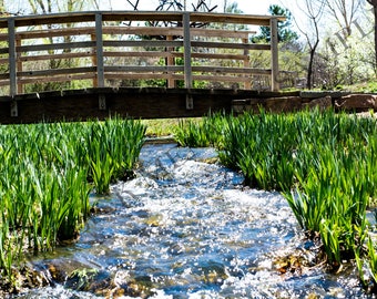 Life Is But A Stream