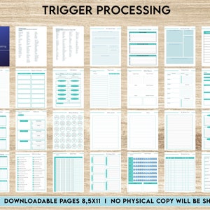 Trigger Processing journal, Thought Processing for daily self care, mental health, emotion list with breakdown worksheets, Canva Editable
