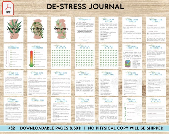 Stress Journal, DBT Distress Tolerance, DBT Skills, Therapy Journal, Mental Health Journal, Stress Relief, BPD, Anxiety, 8,5x11" Printable
