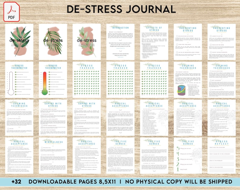 May include: A printable de-stress journal with 32 pages. The journal features a green and blue color scheme with a floral design. The cover page has the text "DE-STRESS JOURNAL" in a bold, black font.