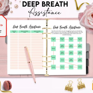 Anxiety Journal Printable PDF, Anxiety, Stress, mental health, anxiety relief journal, Self control, self care journal, mood tracker. image 6
